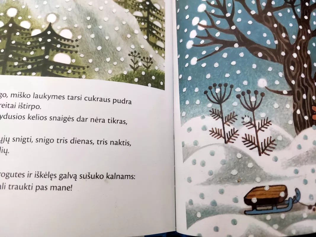 Kurmis ir sniego senis - Autorių Kolektyvas, knyga 5