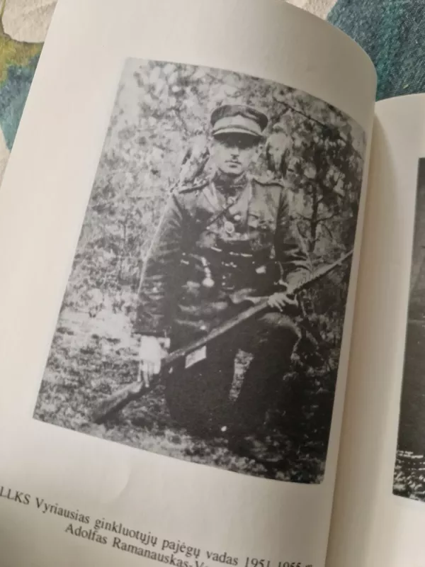 LLKS teisiniai norminiai dokumentai (partizanų statutas) - Majoras Jakimavičius, knyga 4