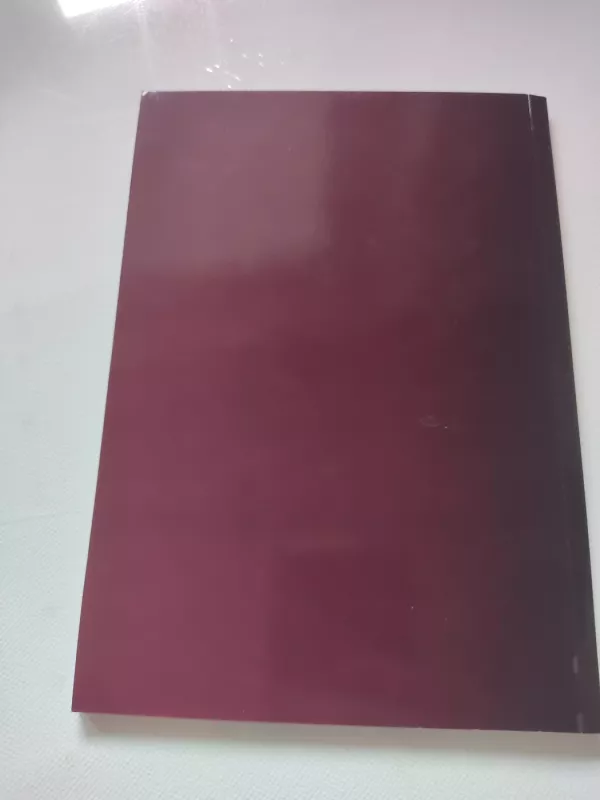 Romualdas Mačiulaitis. Biografijos puslapiai ir bibliografinė rodyklė - Romualdas Mačiulaitis, knyga 4