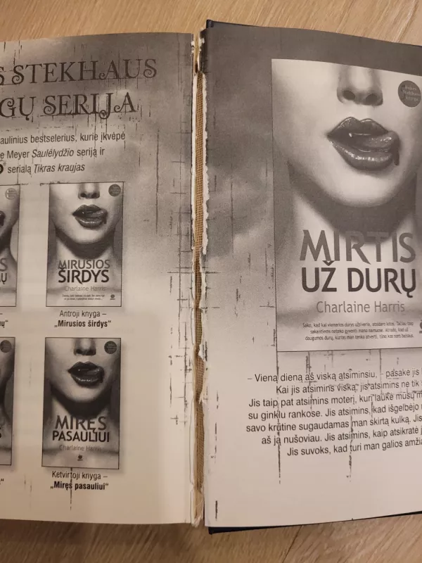 Sparnai - Aprilynne Pike, knyga 5