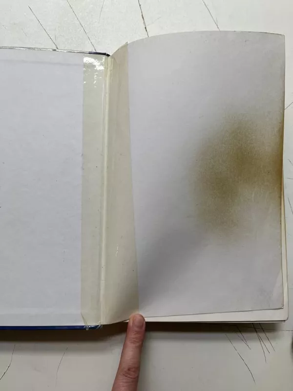 Anglų-lietuvių kalbų teisės žodynas. English-Lithuanian Law Dictionary - Olimpija Armalytė, knyga 3