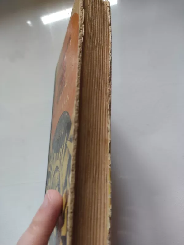 Gabrielis Konrojus - Frensis Bret-Hartas, knyga 4