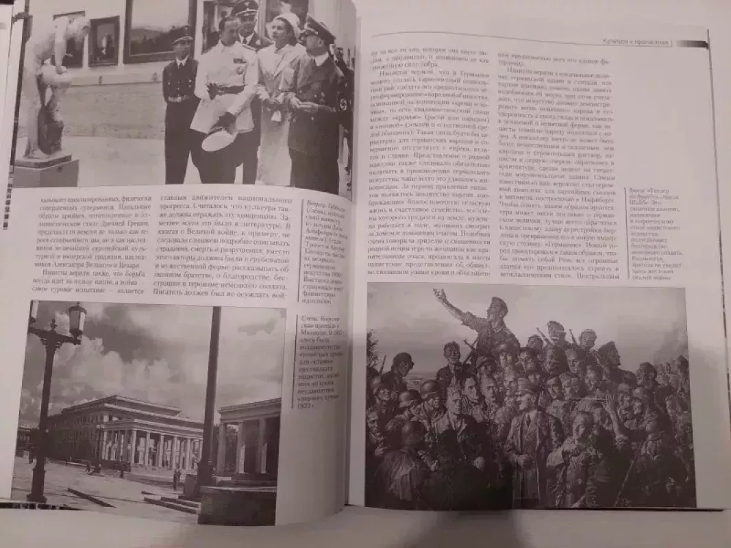 Svastikos šešėlyje - Metju Seligman, knyga 6