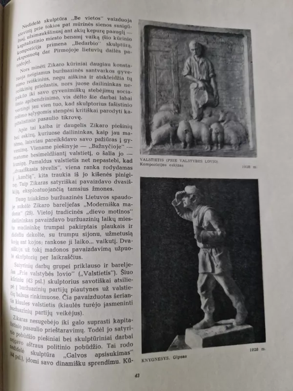 Juozas Zikaras - Stasys Budrys, knyga 6