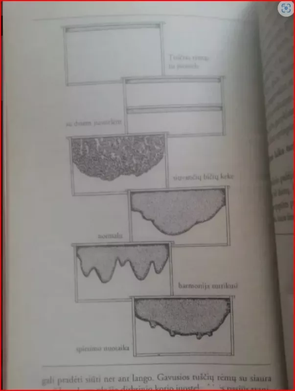 300 patarimų bitininkui mėgėjui - Klausas Ceileris, knyga 6