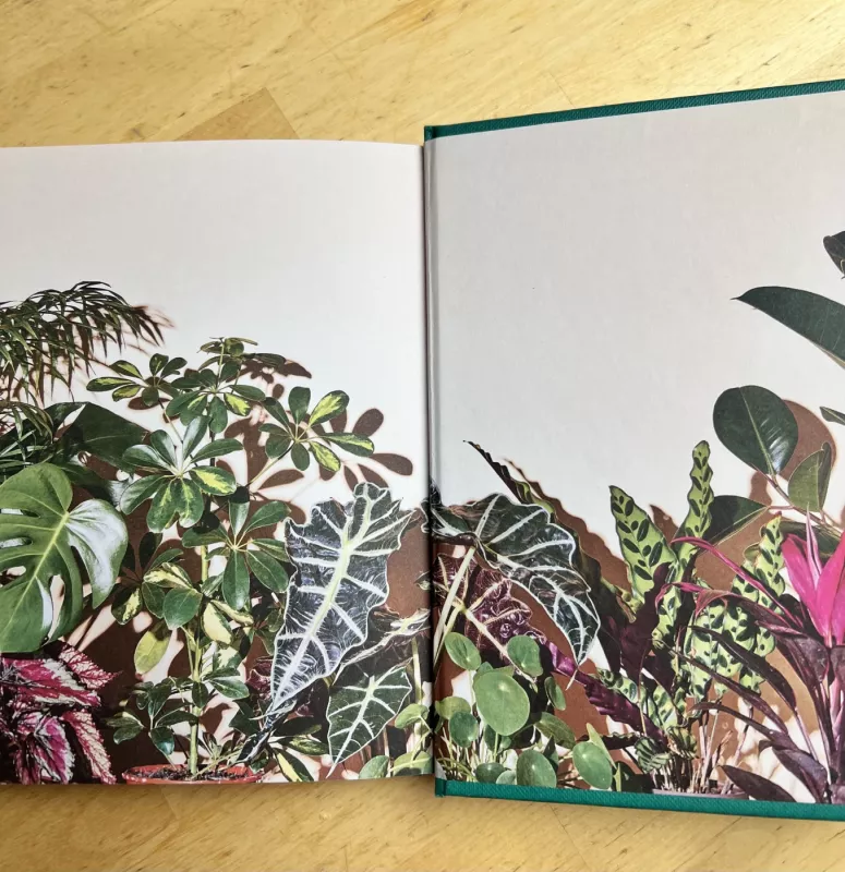 The little book of house plants and other greenery - Emma Sibley, knyga 5