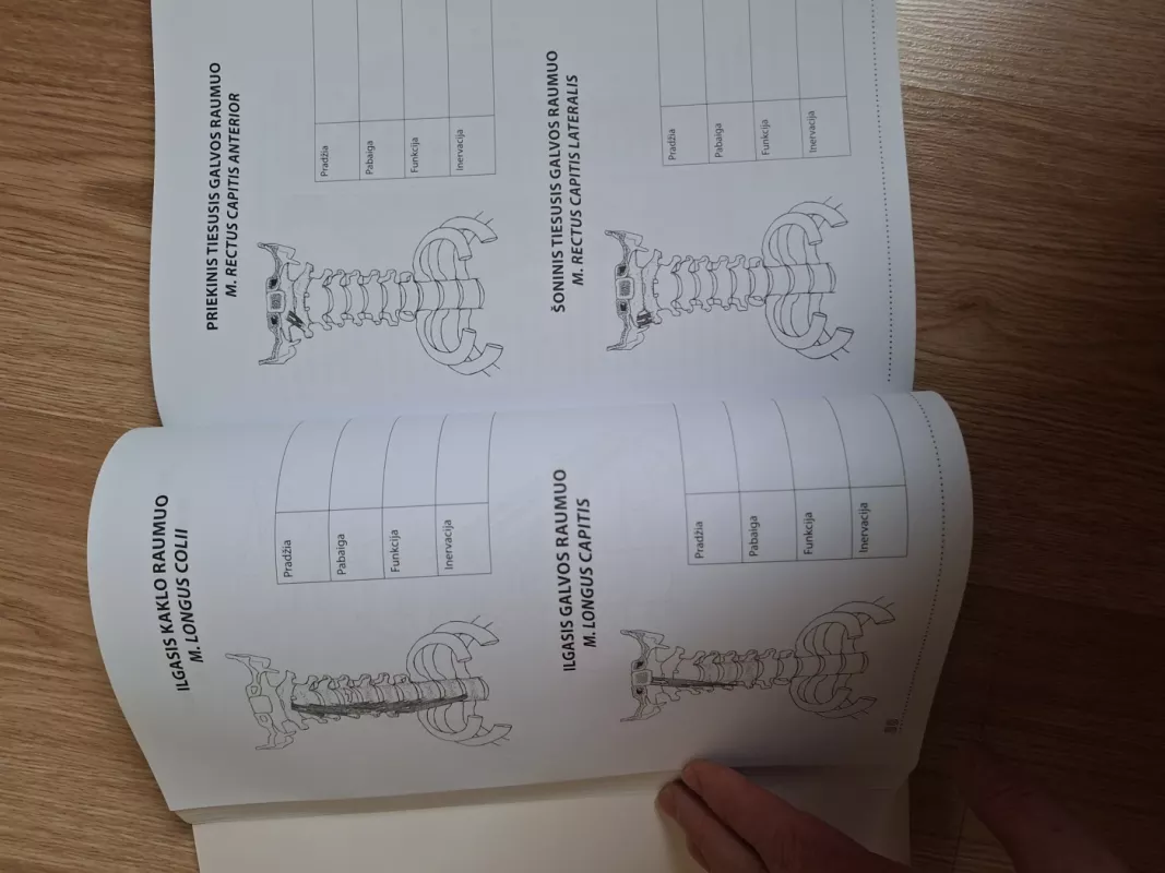 Anatomija. Spalvinimo knyga - Gražina Krutulytė, knyga 3