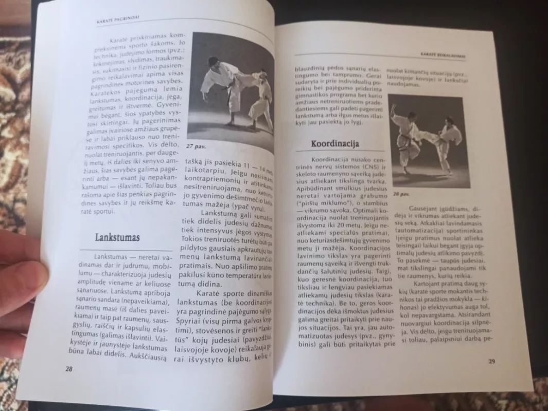 Karatė pagrindai - Karamitsos, knyga 4