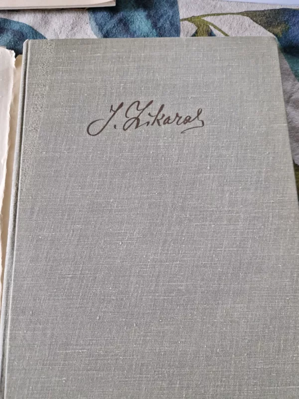 Juozas Zikaras - Stasys Budrys, knyga 3