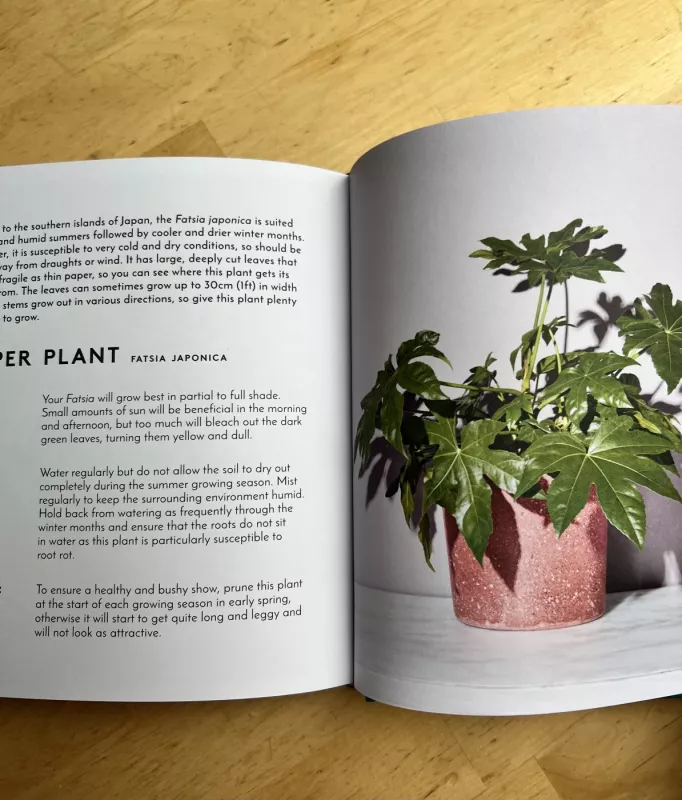 The little book of house plants and other greenery - Emma Sibley, knyga 3