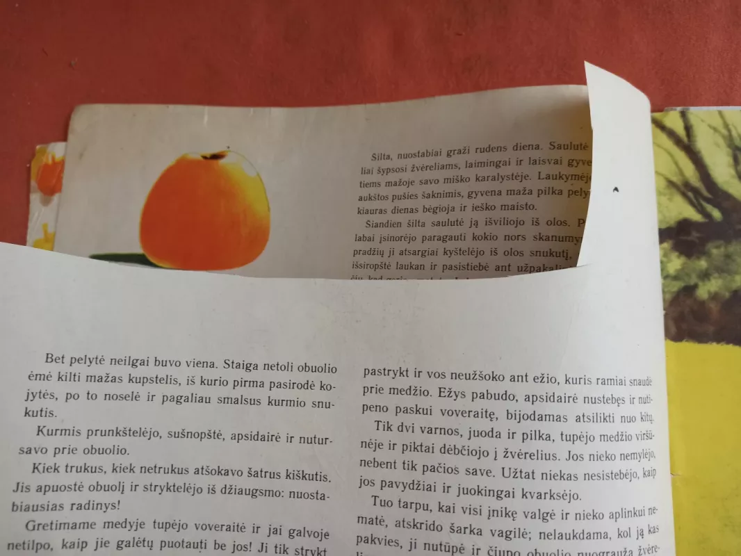 Auksiniai obuoliai - Emilis Liudvikas, Jaroslavas  Moravecas, knyga 4
