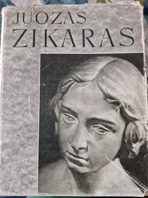 Juozas Zikaras - Stasys Budrys, knyga 2