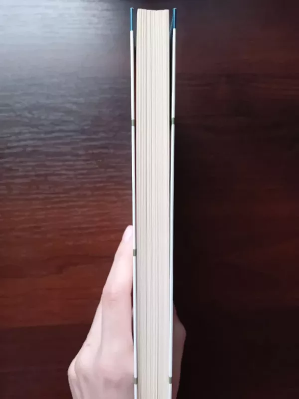 Moderniosios kultūros filosofijos metmenys - Leonidas Donskis, knyga 4