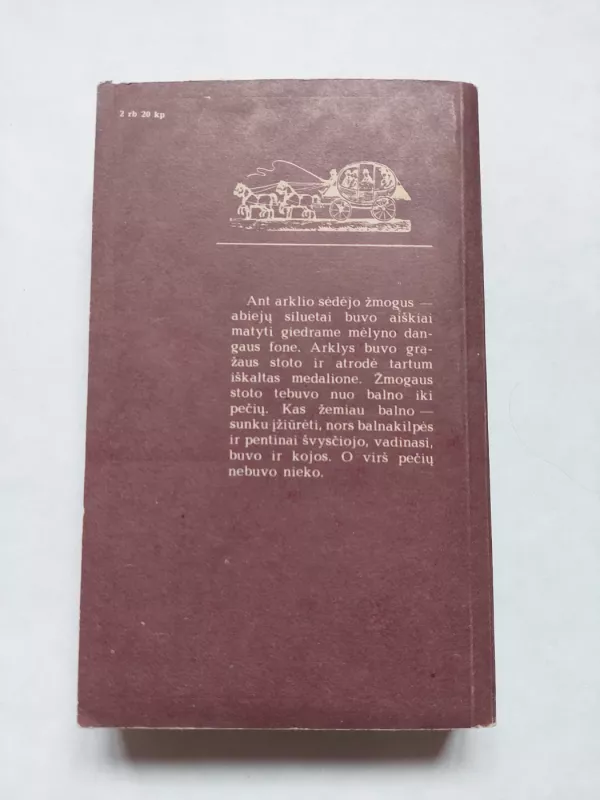 Raitelis be galvos - Tomas Main Ridas, knyga 3