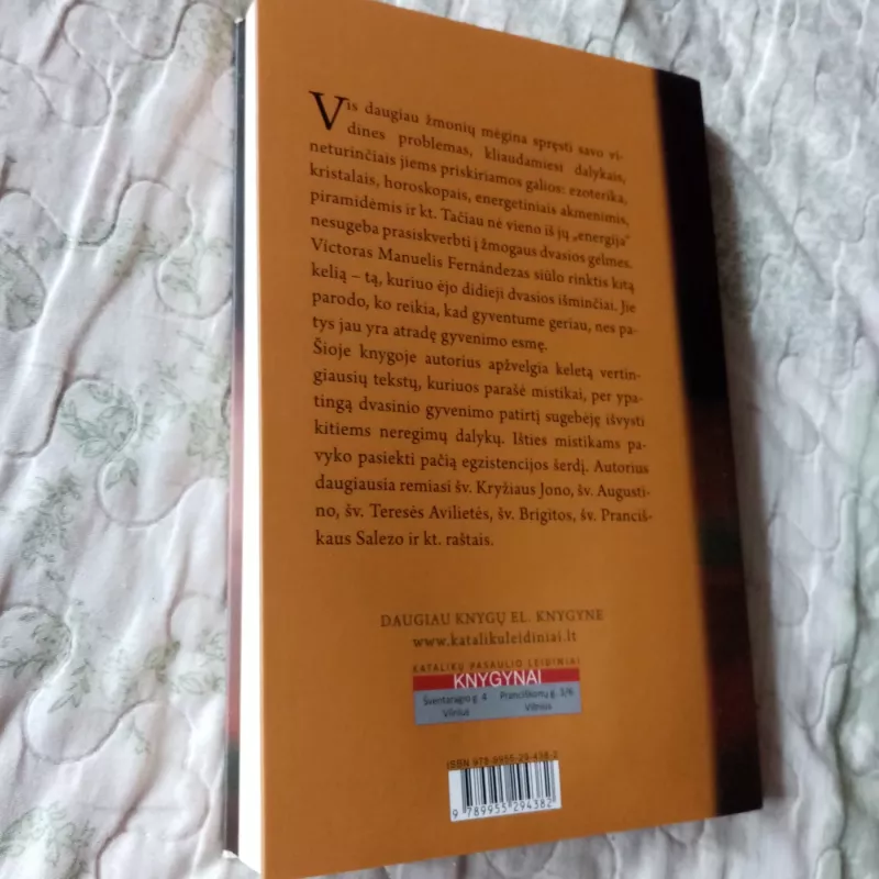Mistikos galia - Victor Manuel Fernandez, knyga 4