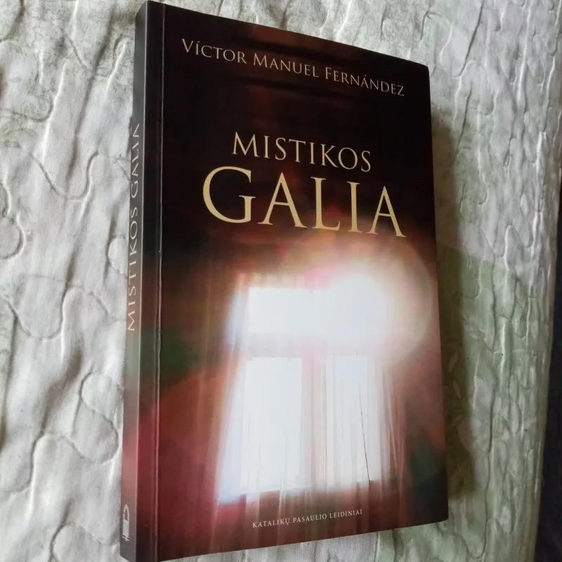Mistikos galia - Victor Manuel Fernandez, knyga 2