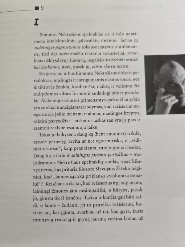 Eimuntas Nekrošius: erdvė už žodžių - Ramunė Marcinkevičiūtė, knyga 6