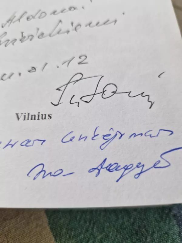 Loreta Asanavičiūtė: veiksmas ir atmintis - Ina Dagytė, knyga 2