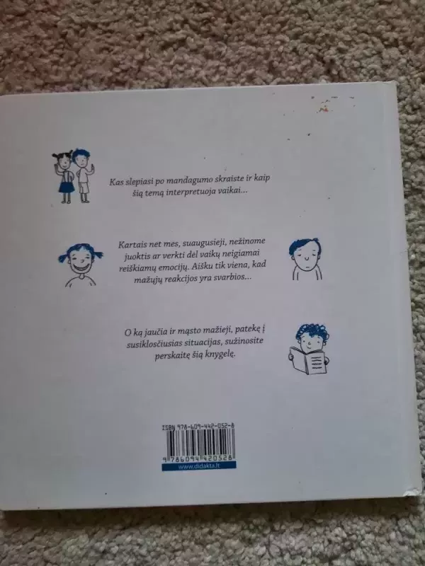 Po mandagumo skraiste - Daiva Niccolini, knyga 3