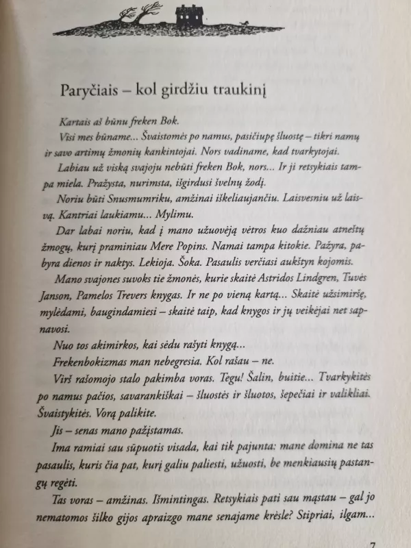 Gražuolės vaikai - Gintarė Adomaitytė, knyga 6