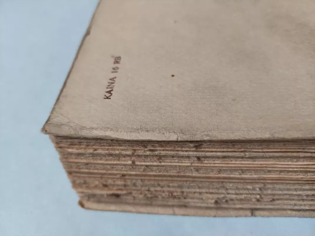 Isanka - V. Veresajevas, knyga 5