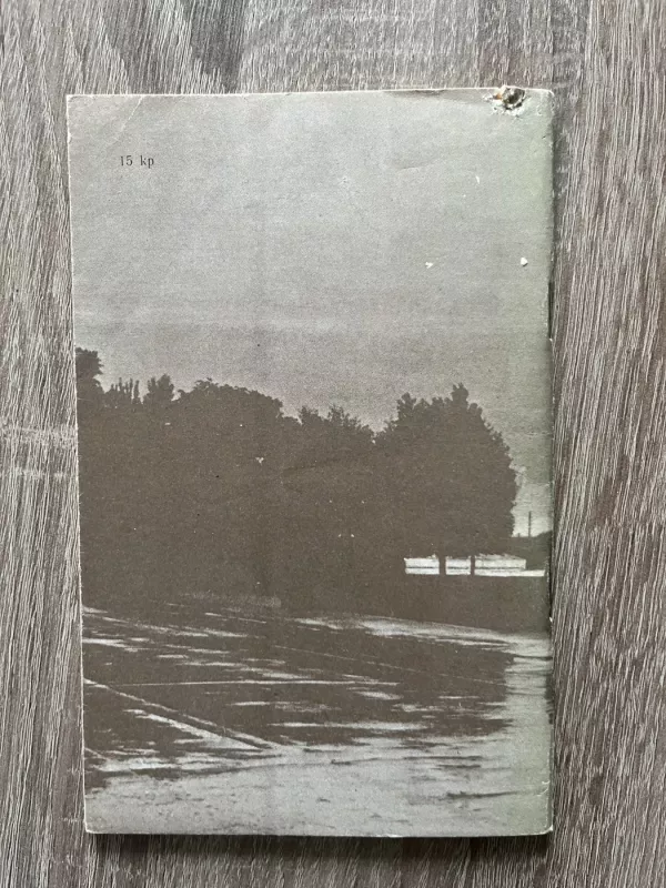 Baltosios naktys - Fiodoras Dostojevskis, knyga 5