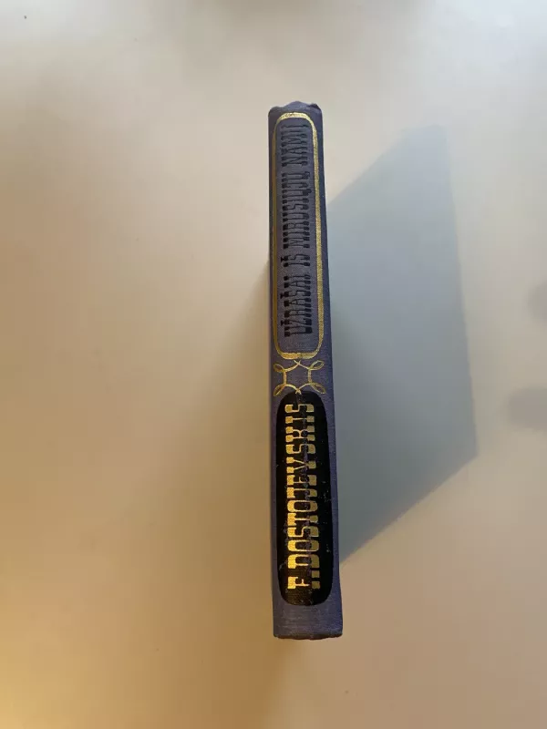 Užrašai iš mirusiųjų namų - Fiodoras Dostojevskis, knyga 4