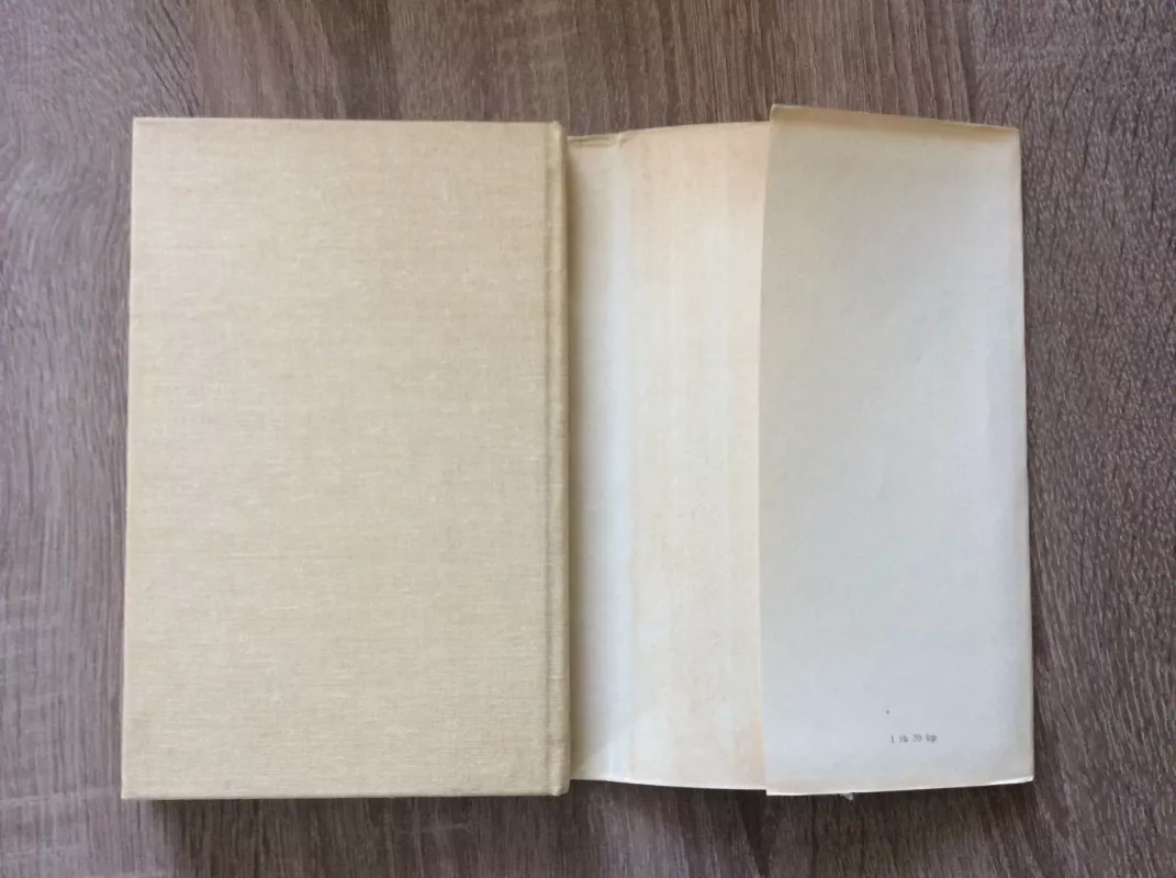 Raštai. 6 tomas - Juozas Baltušis, knyga 6