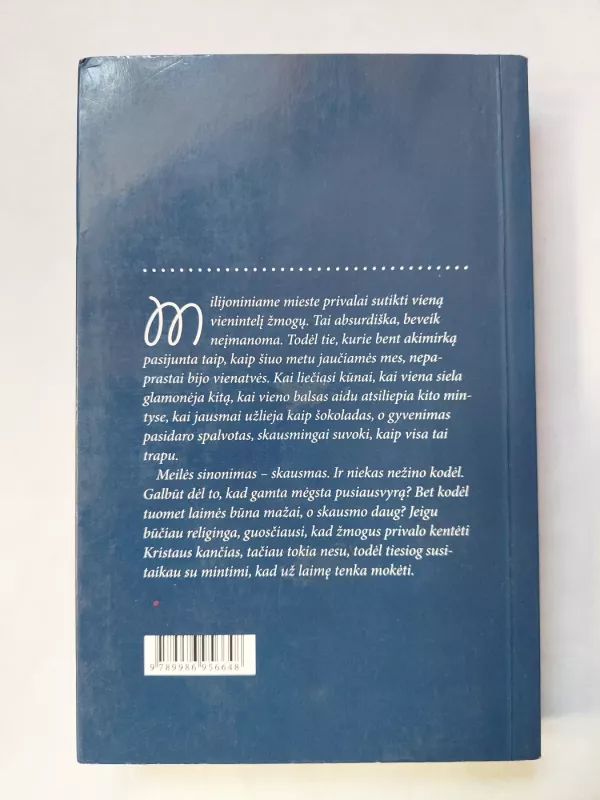 Baltas šešėlis - Indrė Jonušytė, knyga 4