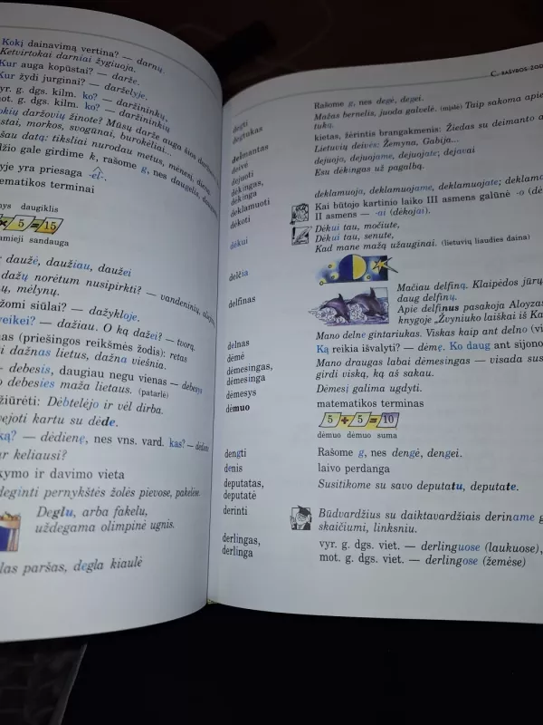 Mokomasis Lietuvių kalbos rašybos žodynėlis I-IVklasė - Vida Plentaitė, knyga 3