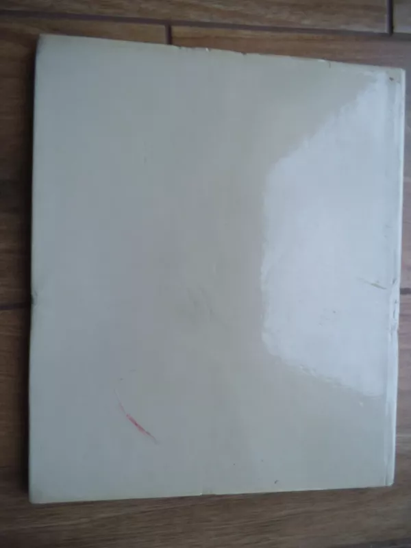 Lietuvių monumentalioji dekoratyvinė tapyba - Boleslovas Klova, knyga 5