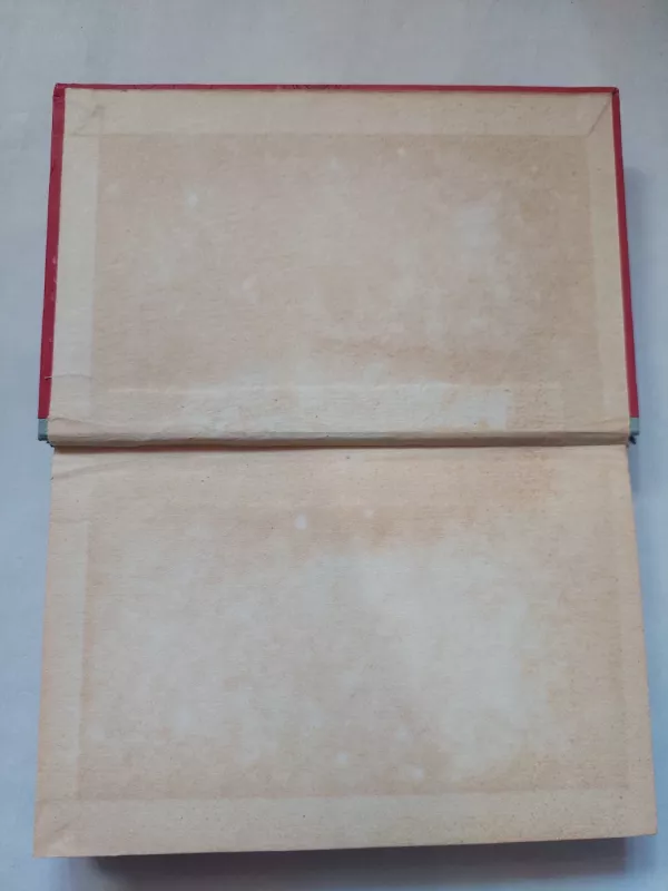 Baltas laivas, mėlyna jūra - G. Maškinas, knyga 4