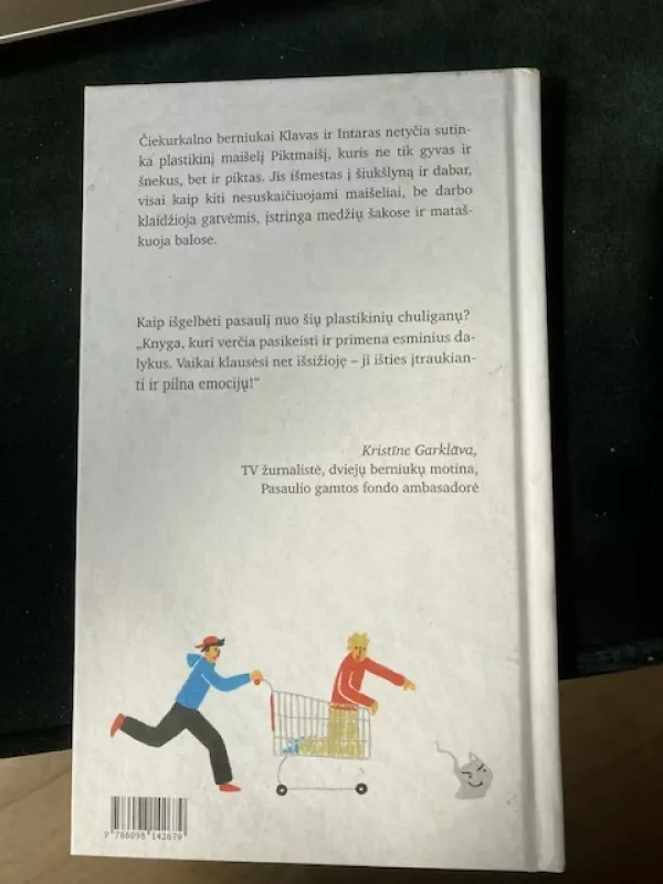 Plastikiniai chuliganai - Agnese Vanaga, knyga 2