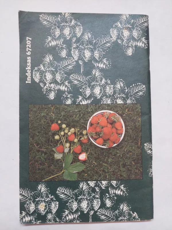 Auginu braškes - Norbertas Uselis, knyga 4