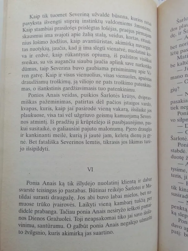 Dienos gražuolė - Joseph Kessel, knyga 6