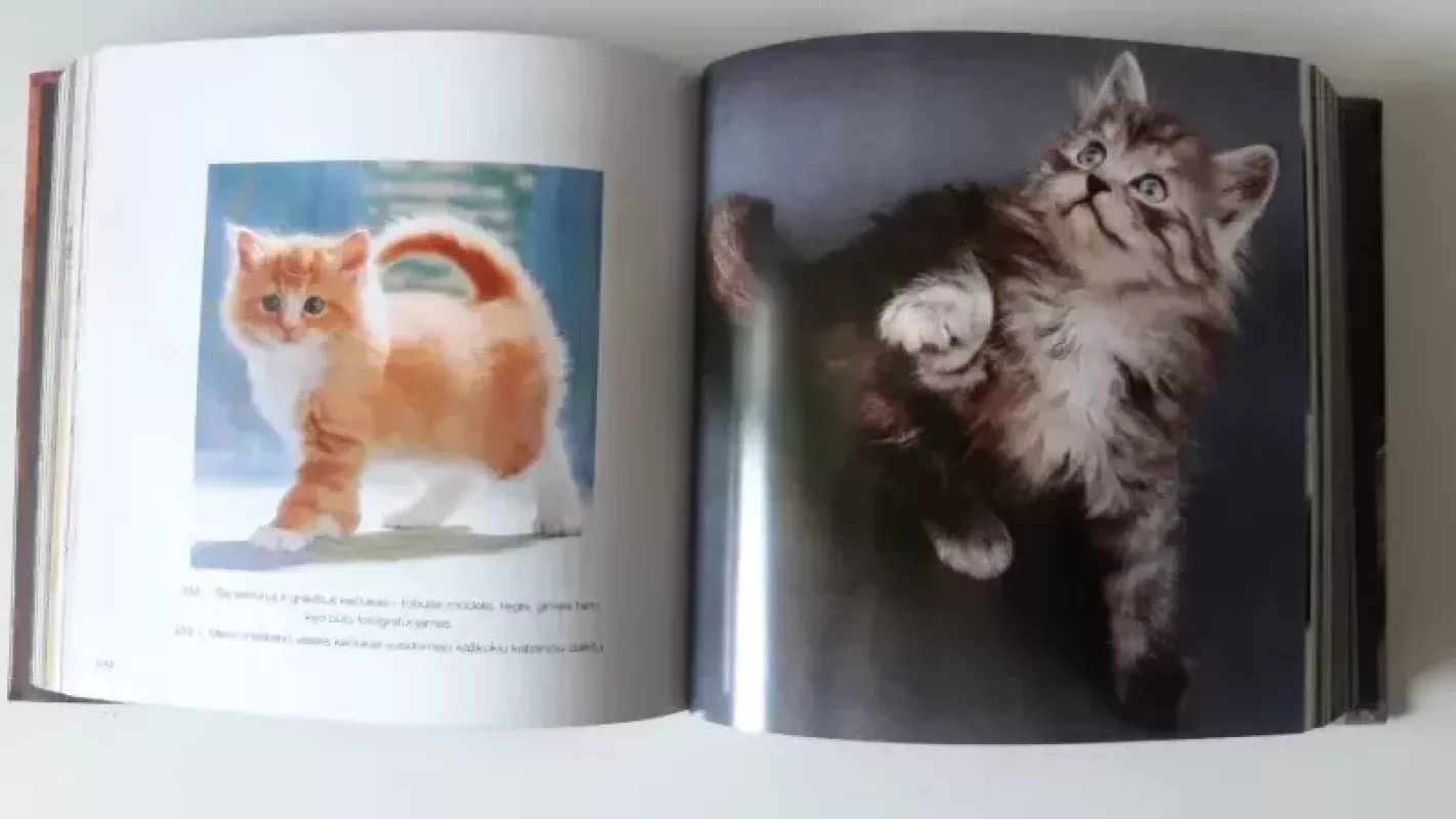 Katės - Caterina Gromis Di Trana, knyga 3