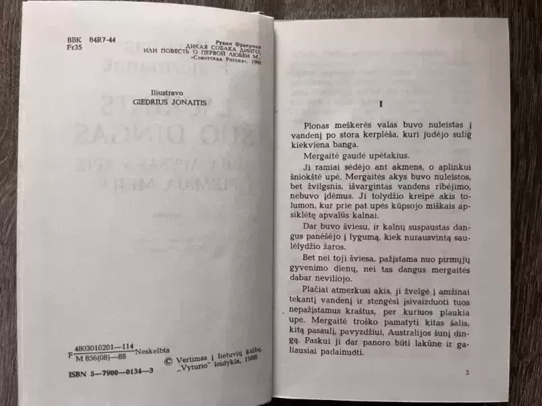 Laukinis šuo Dingas, arba apysaka apie pirmąją meilę - Ruvimas Frajermanas, knyga 3