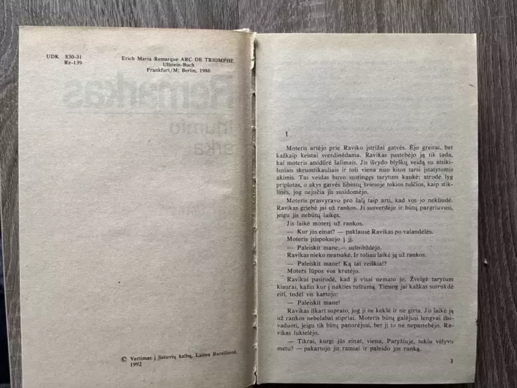 Triumfo arka - Erichas Marija Remarkas, knyga 3