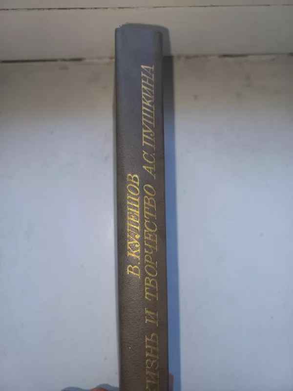 Žizn i tvorčestvo Puškina - Kulešov, knyga 6