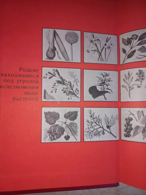 Redkije i isčezajušije rastenija - Artamonov, knyga 3