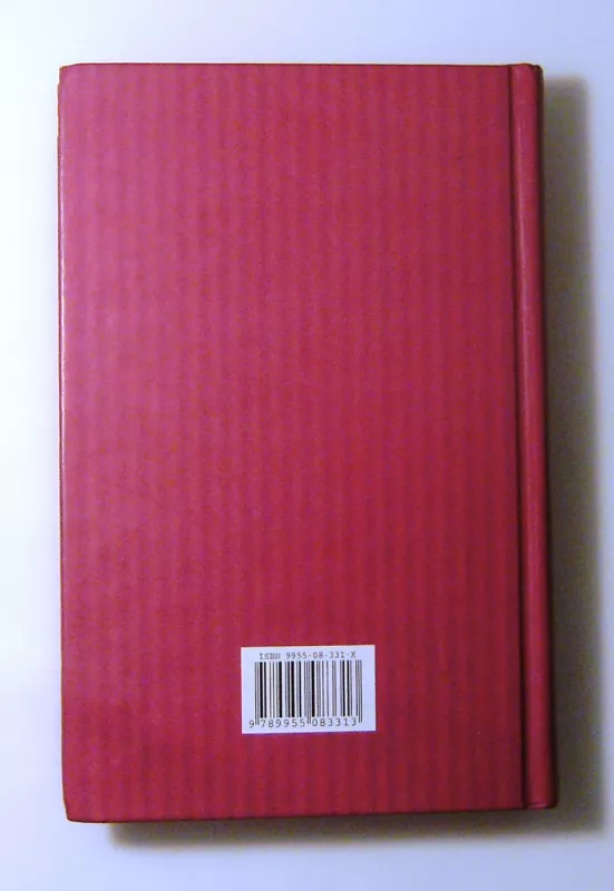 Griaustinis ir žaibai - Jan Mark, knyga 6