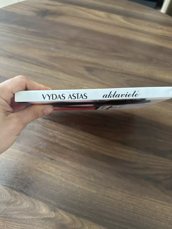 Aklavietė - Vydas Astas, knyga 5