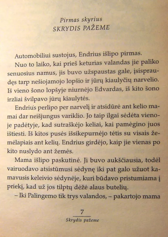 Griaustinis ir žaibai - Jan Mark, knyga 5