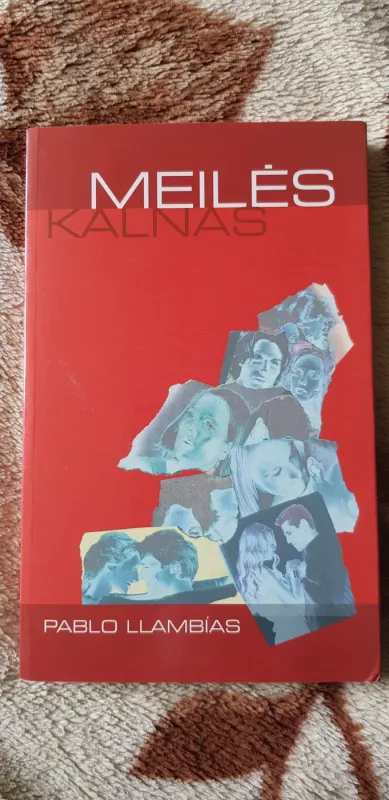 Meilės kalnas - Pablo Llambias, knyga 2