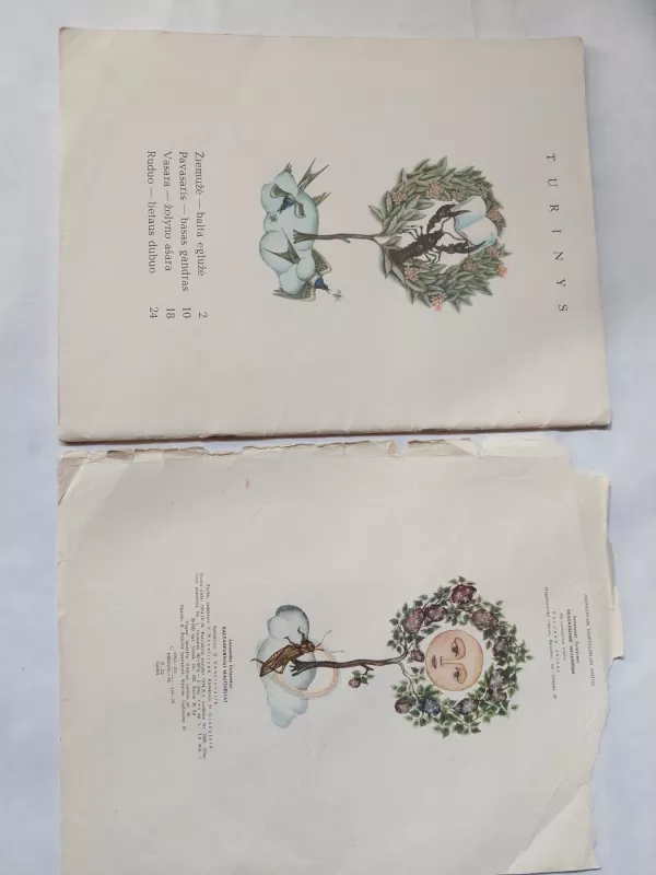 Baltasparniai malūnėliai - Leonardas Gutauskas, knyga 5