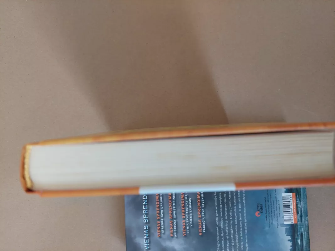 Logikos galia - Martynas Driukas (Trimurti), knyga 3