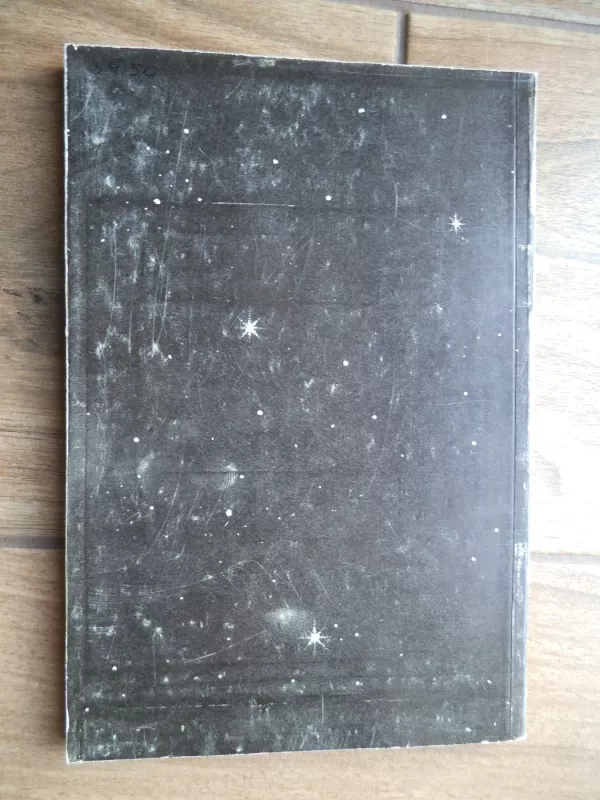 Kaip iš veido atpažinti tikrąjį draugą ir tapti laimingu - Vaidotas Pečkys, knyga 4