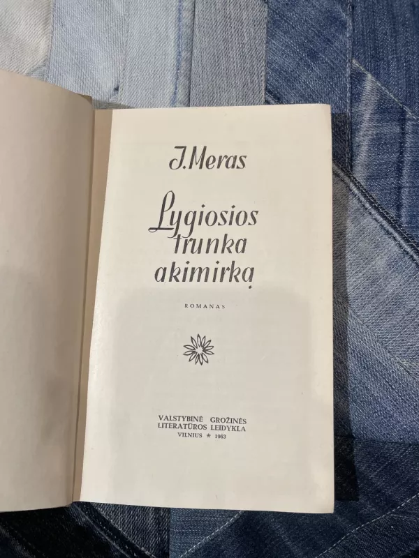 Lygiosios trunka akimirką - J. Meras, knyga 2