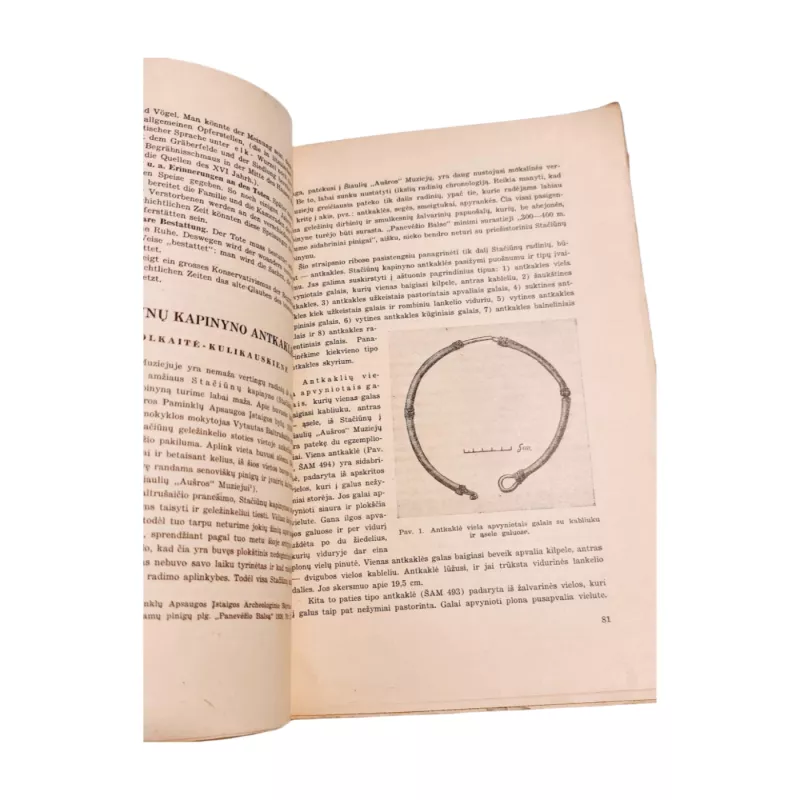 Gimtasai kraštas. Tautotyros vienkartinis leidinys (1943 m) - Autorių Kolektyvas, knyga 5