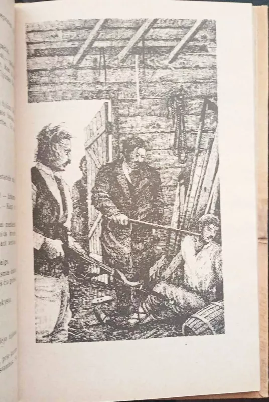 Tadas Blinda - Rimantas Šavelis, knyga 5